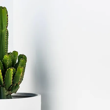 Luxurious Acebo 4 Bed, 4 Bath, Private Pool Villa